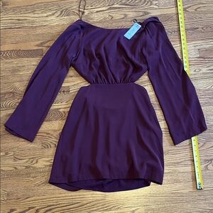 Dynamite Elegant Long Sleeve Wine Dress